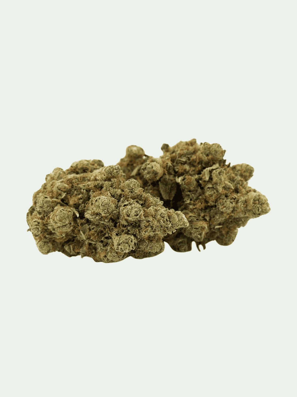 Lime Purple (17) Super Lemon Haze – Bild 1
