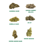 THC Probier Set