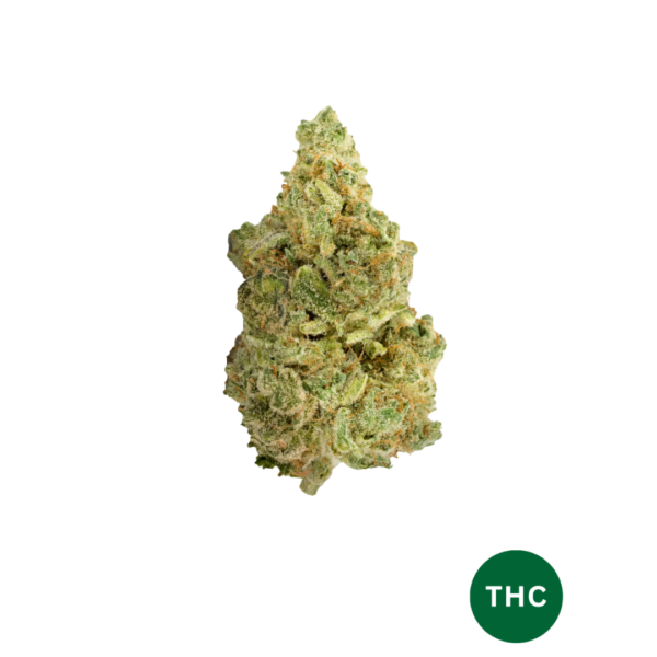 White Widow