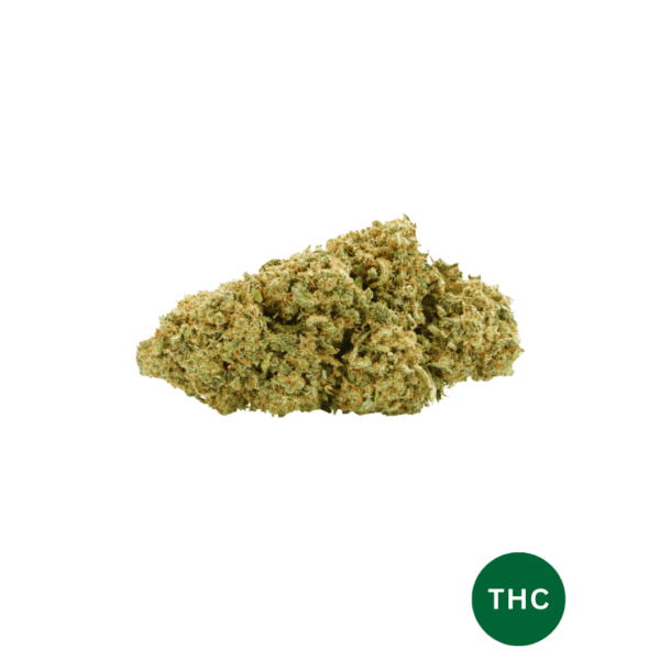 Gorilla Glue